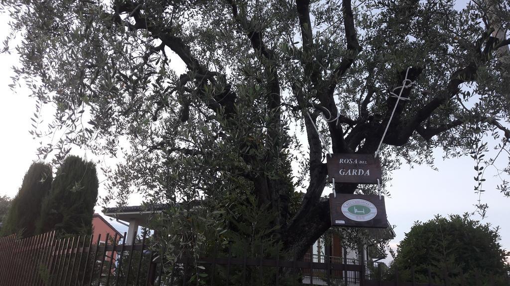 B&B Rosa Del Garda Λατζίζε Εξωτερικό φωτογραφία